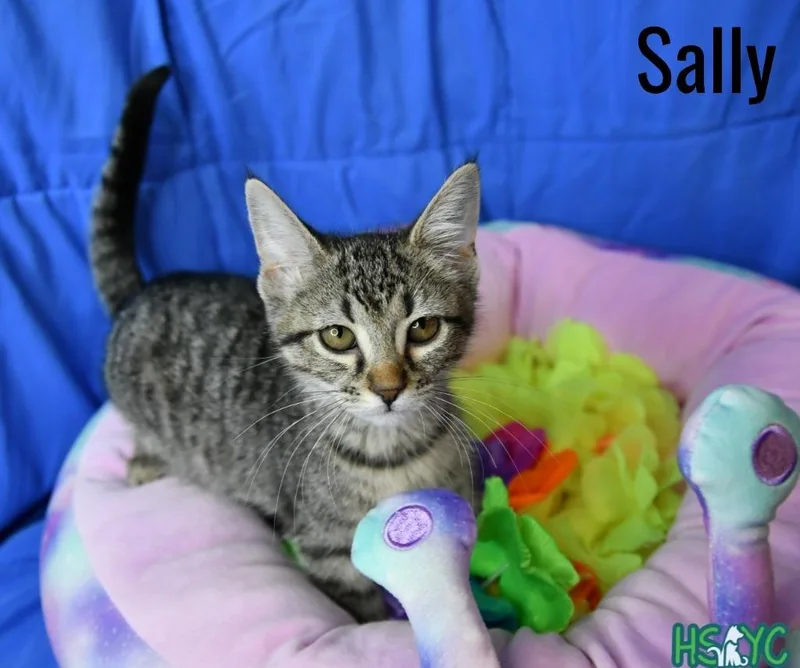 Sally