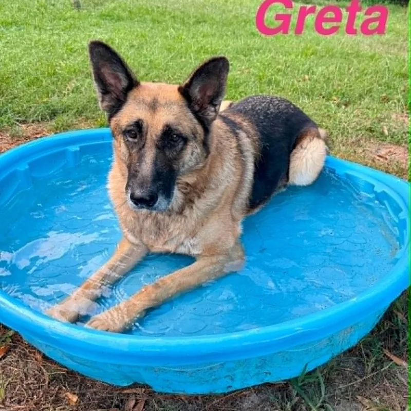 Greta thumbnail 2