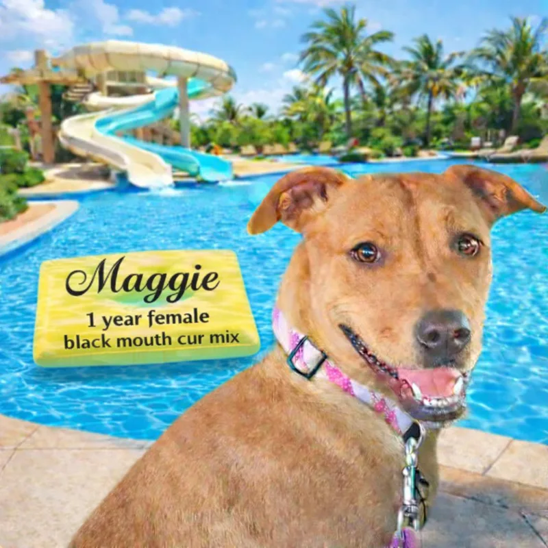 Maggie –  Year