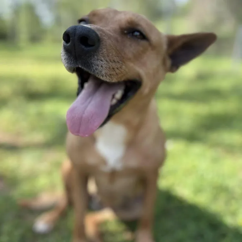 Bridgett thumbnail 2