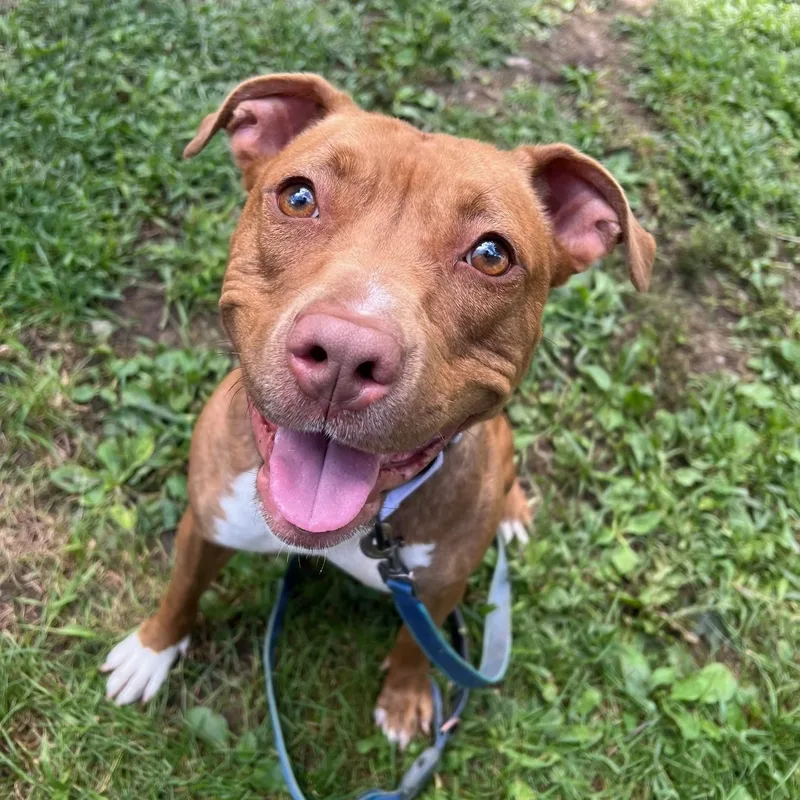 Frannie  Sweet Little thumbnail 2