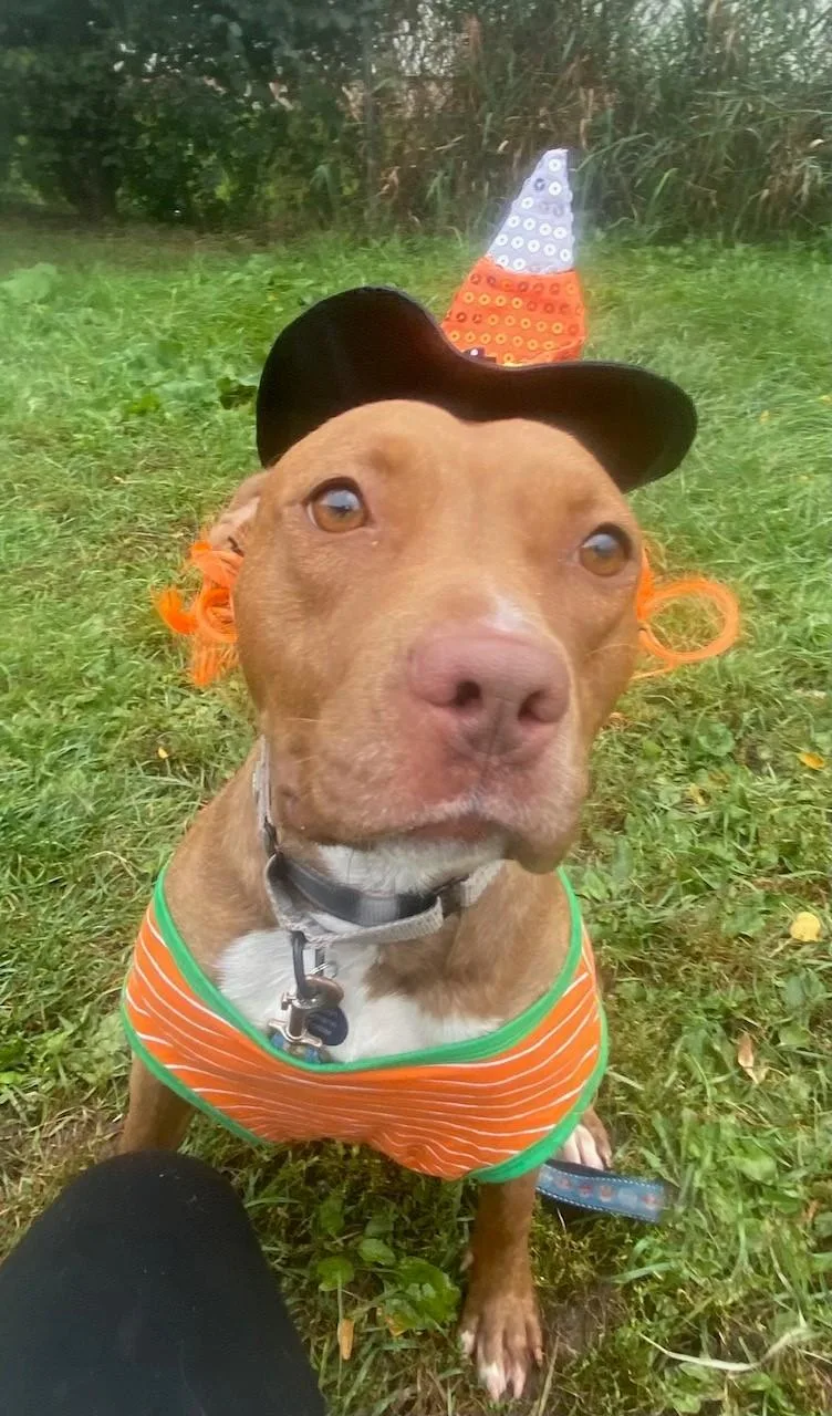 Frannie  Sweet Little thumbnail 3