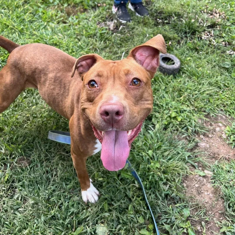 Frannie  Sweet Little thumbnail 4