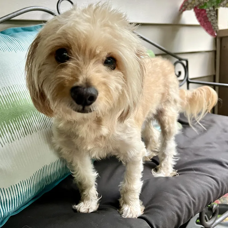 Bernie