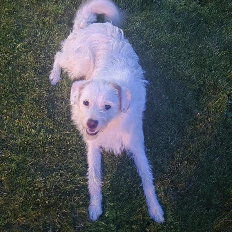 Zeus