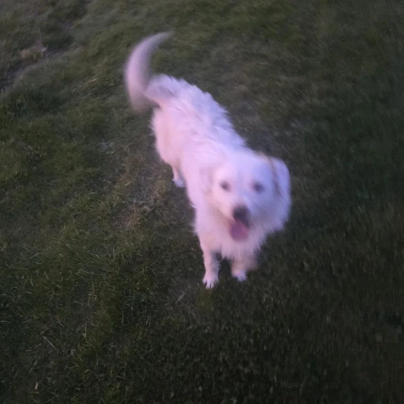 Zeus thumbnail 2