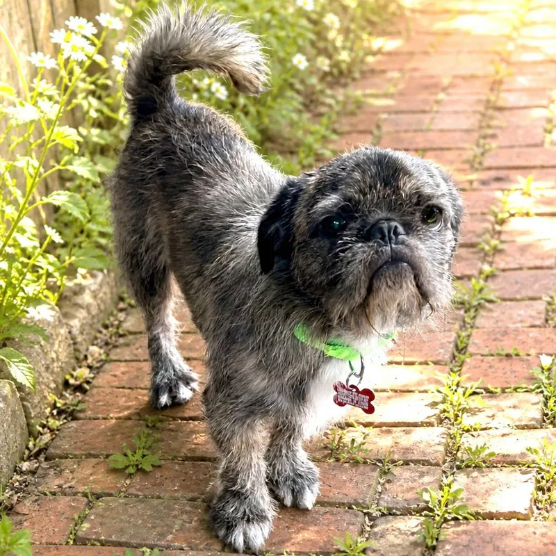 Grady
