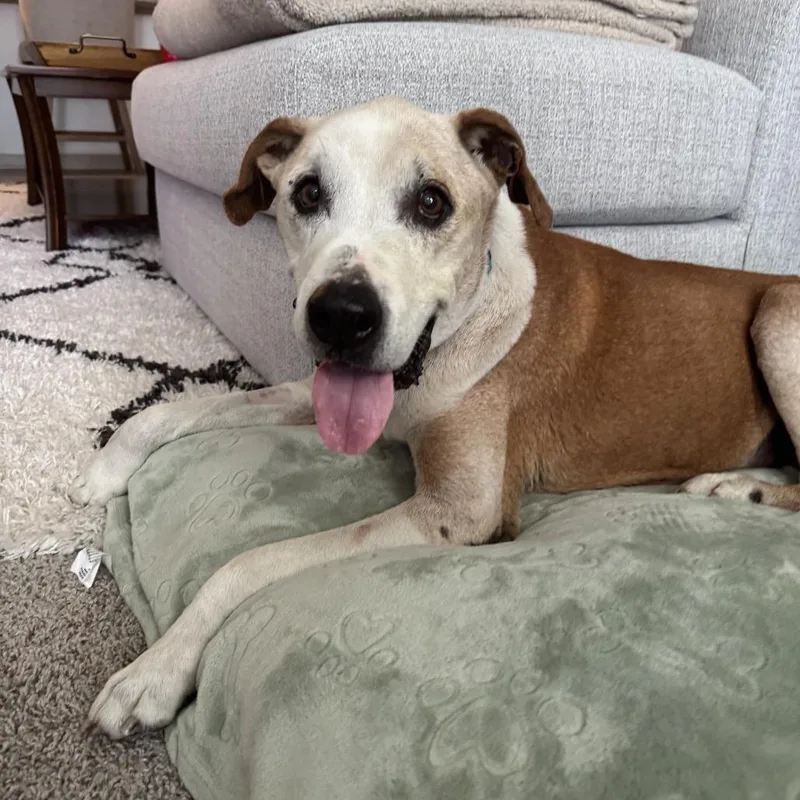 Billy Ray Cyrus thumbnail 3