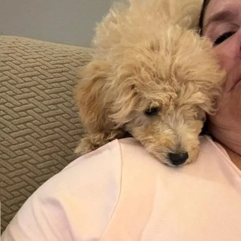Chester D thumbnail 2