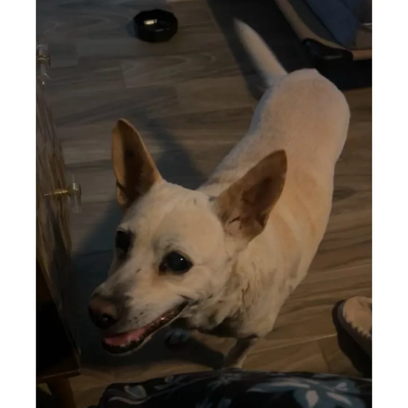 Betty White thumbnail 3