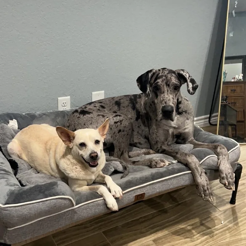 Betty White thumbnail 5