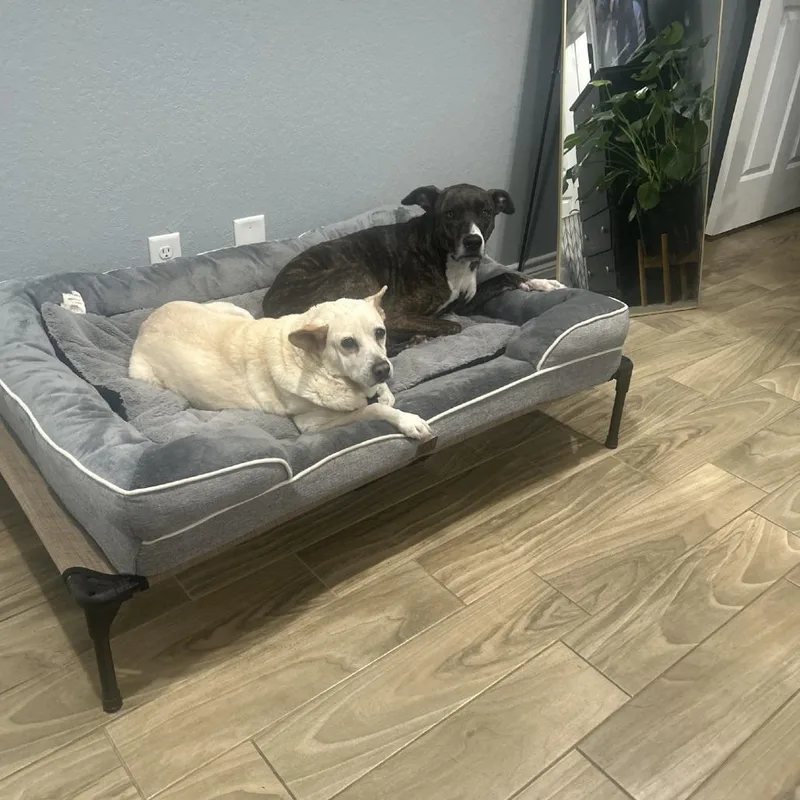 Betty White thumbnail 6