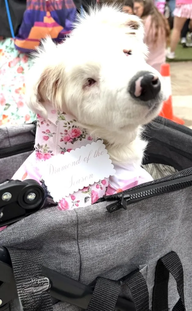 Lottie Pearl thumbnail 2