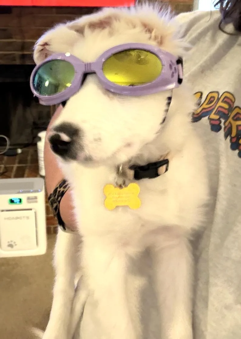 Lottie Pearl thumbnail 5