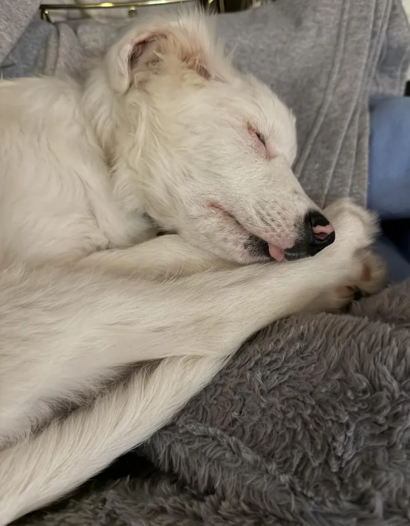 Lottie Pearl thumbnail 6