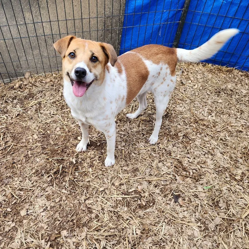 Maybelle thumbnail 5