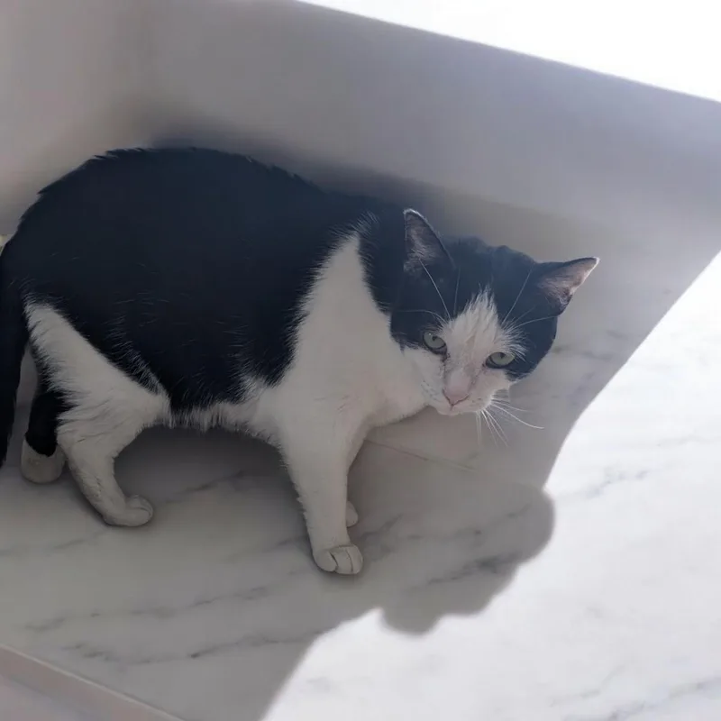 Minnie Sc thumbnail 2