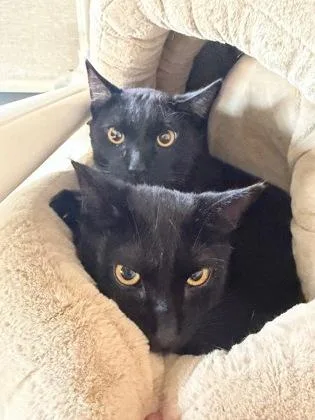 Tito And Tiny