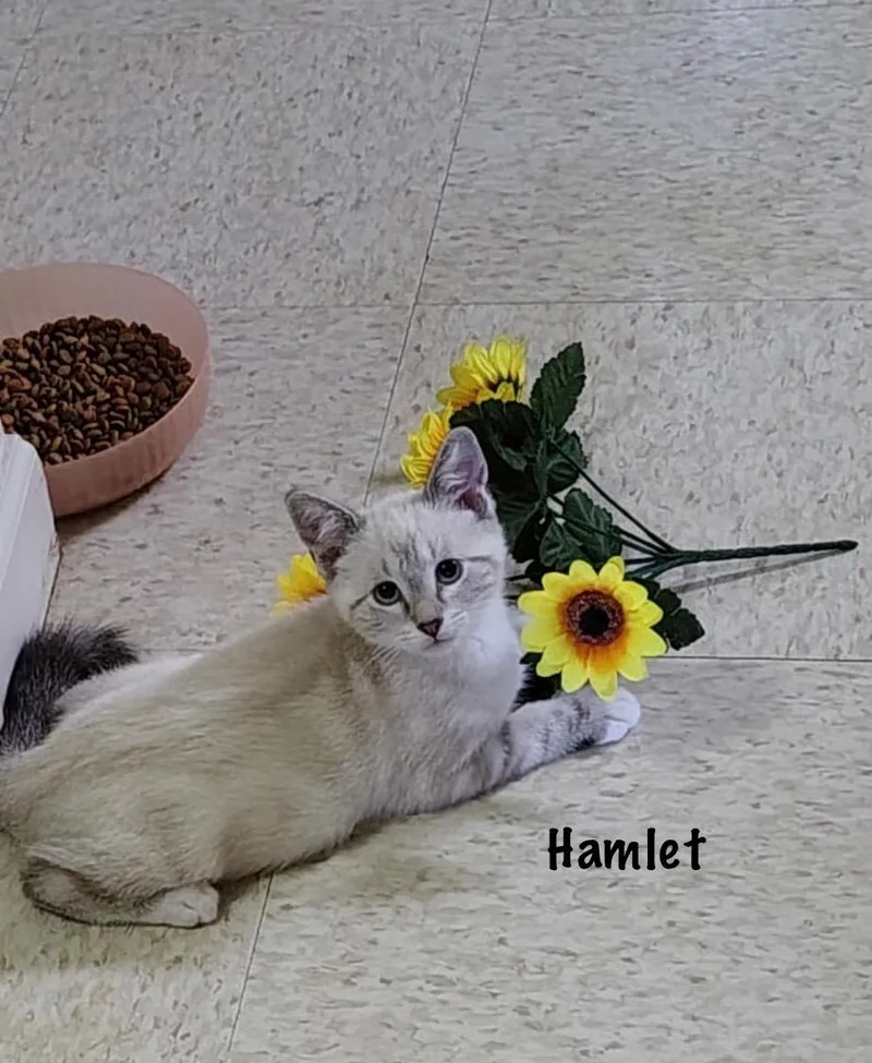 Hamlet
