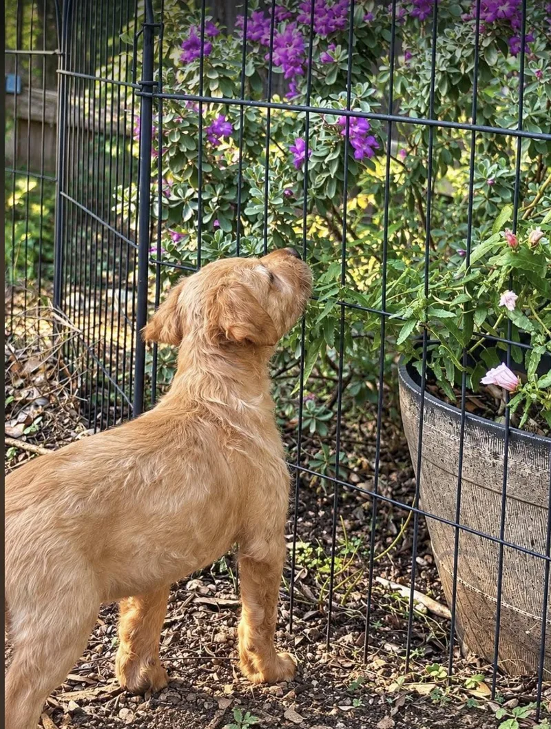 Ernest  TN thumbnail 3
