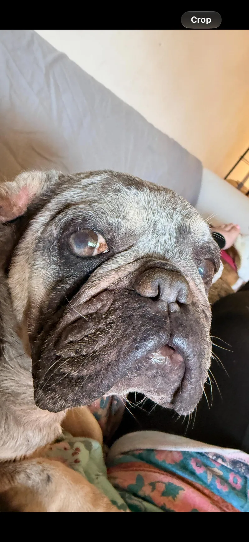 Lucy thumbnail 6