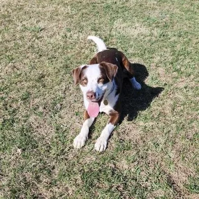 Kahlula Aka Lula thumbnail 2