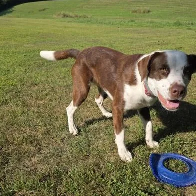 Kahlula Aka Lula thumbnail 3