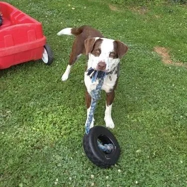 Kahlula Aka Lula thumbnail 4