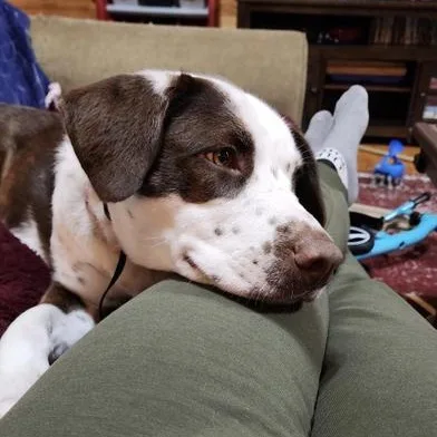 Kahlula Aka Lula thumbnail 5