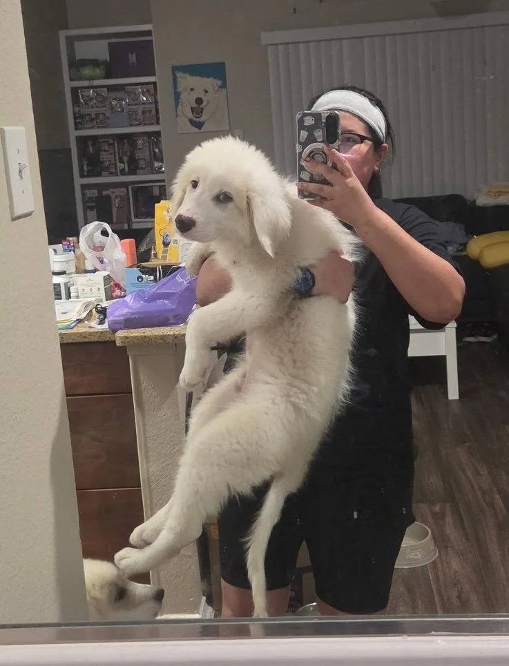 Bandit thumbnail 3