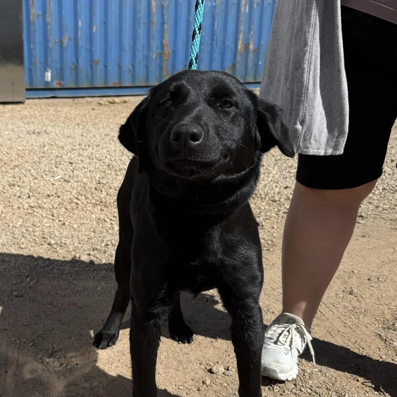 Tallahassee thumbnail 2