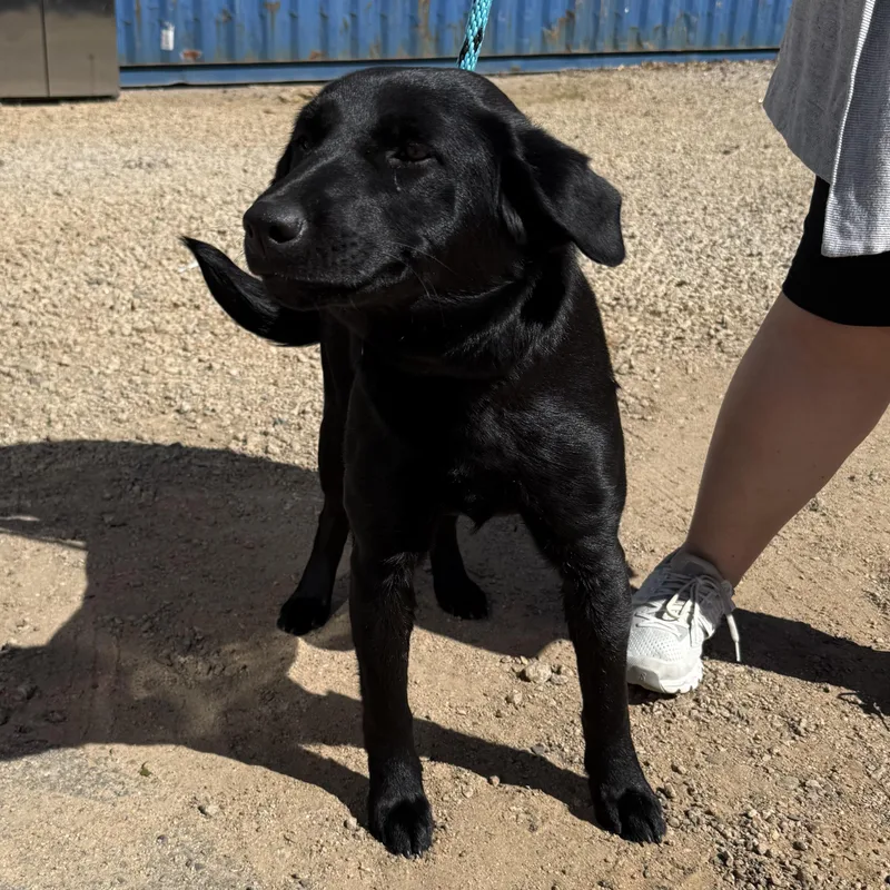 Tallahassee thumbnail 3