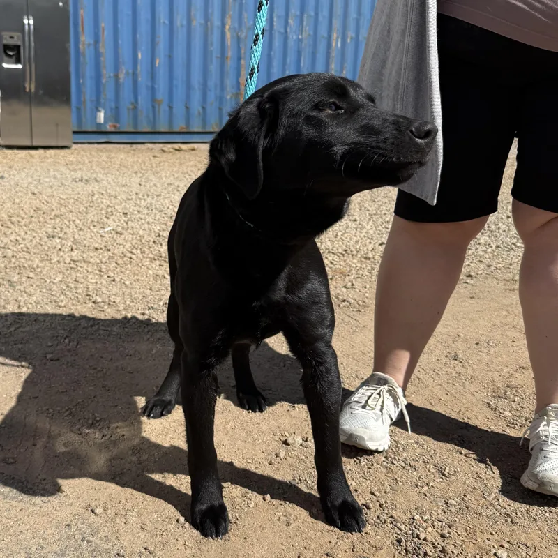 Tallahassee thumbnail 5