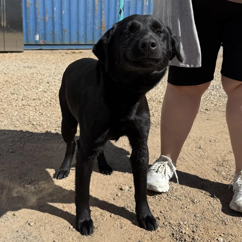 Tallahassee thumbnail 6