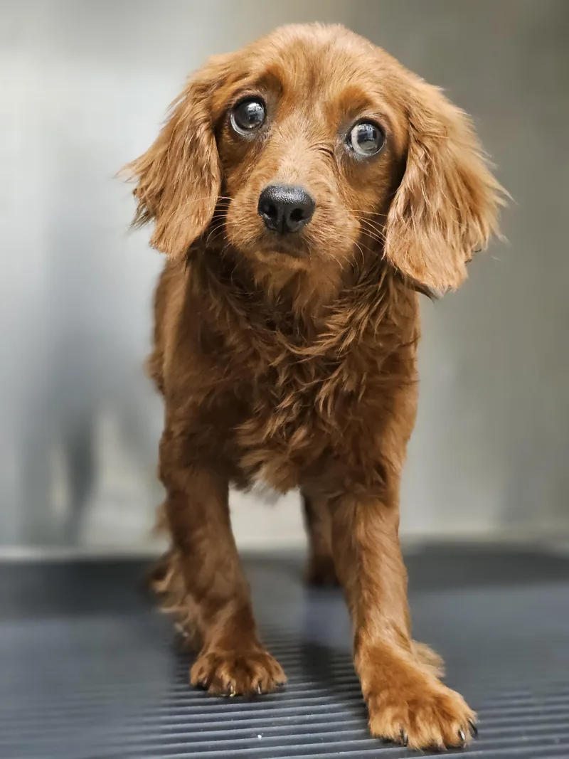 Frederick thumbnail 2