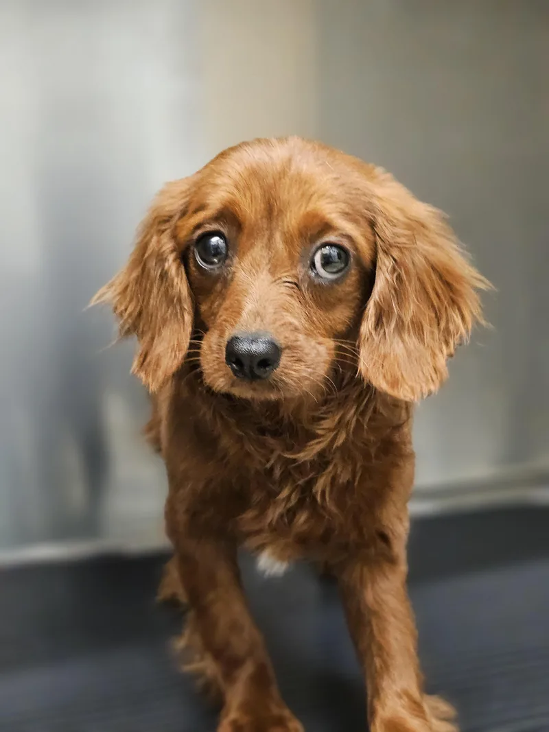 Frederick thumbnail 6