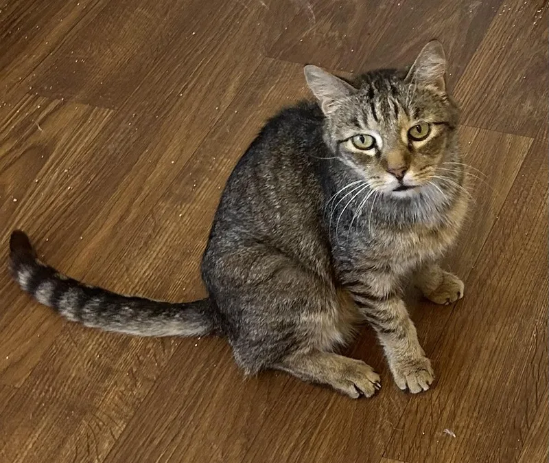 Grandpa Zak thumbnail 2