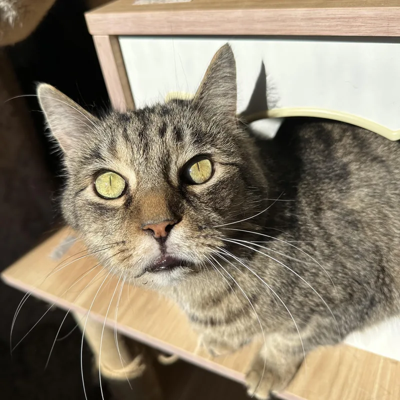 Grandpa Zak thumbnail 3