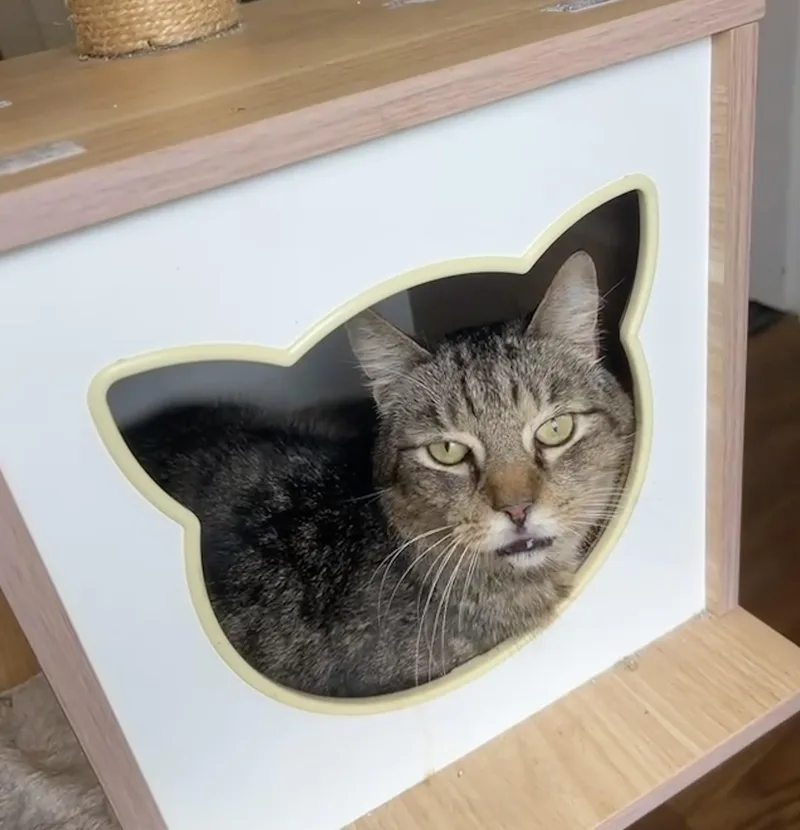 Grandpa Zak thumbnail 4