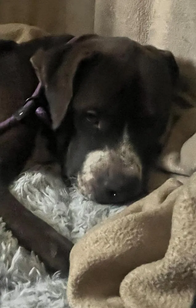 Eddie A 💜 thumbnail 2