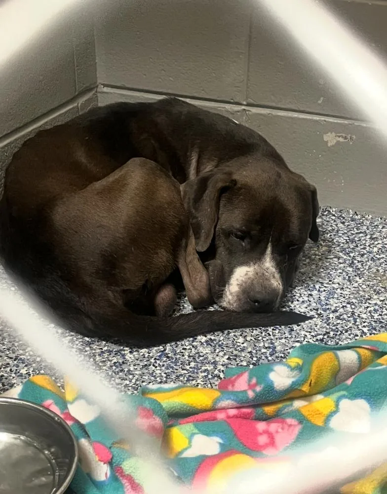 Eddie A 💜 thumbnail 3