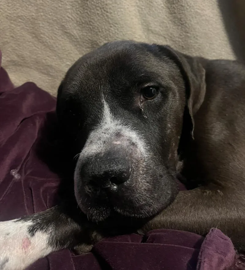 Eddie A 💜 thumbnail 4