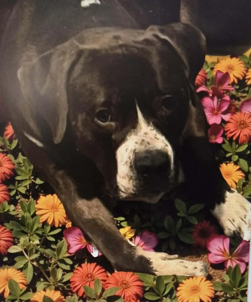 Eddie A 💜 thumbnail 5