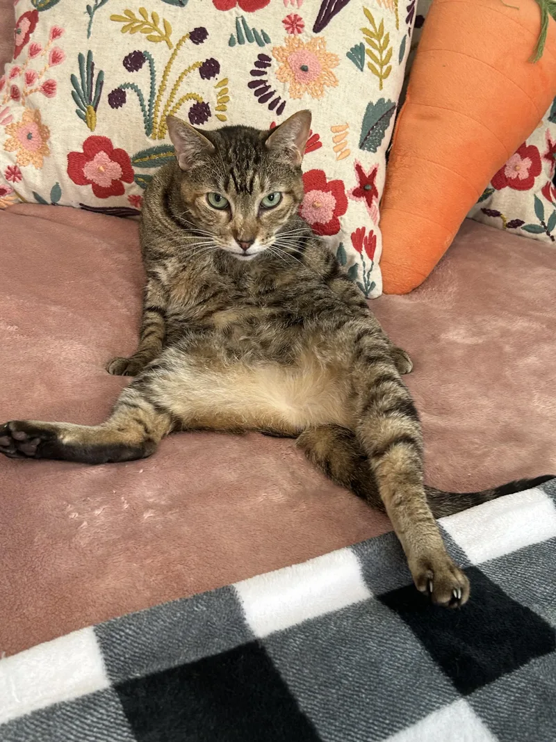 Cleopatra thumbnail 4