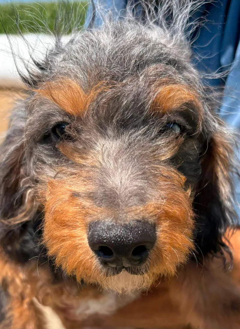 Quincy