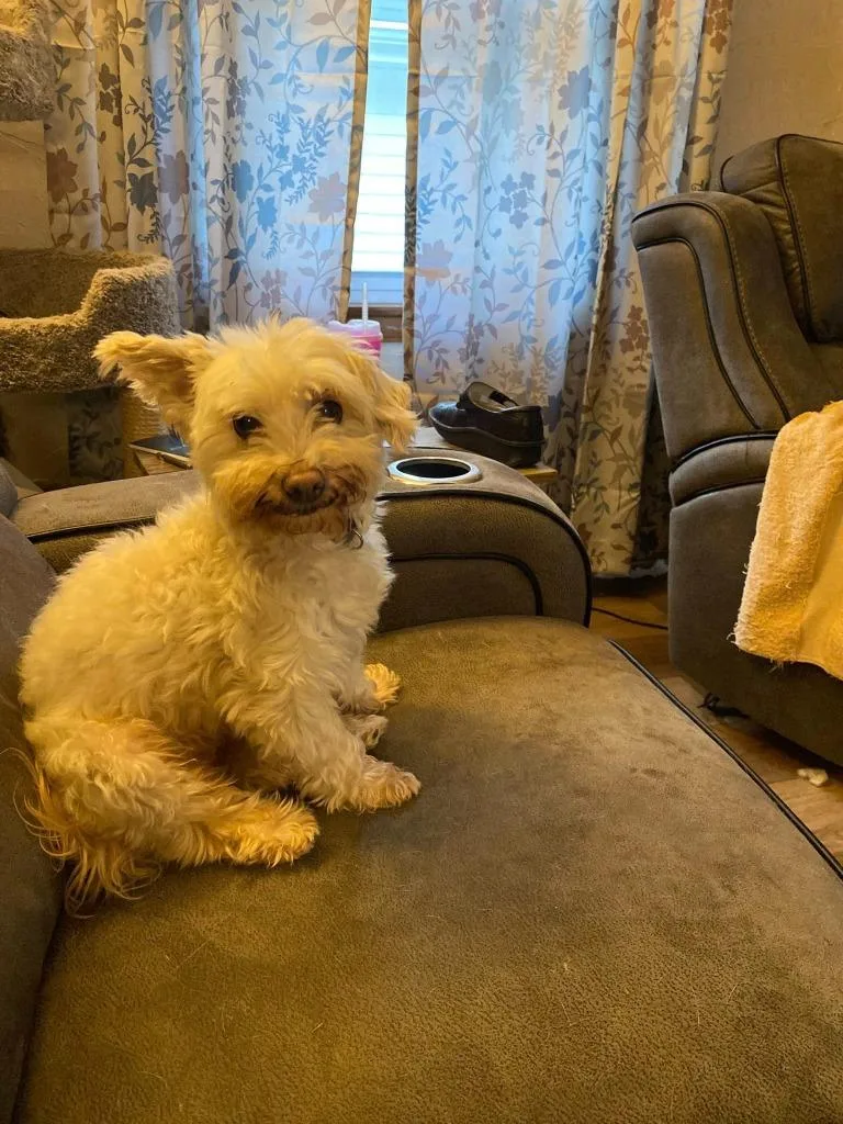 Willie thumbnail 2