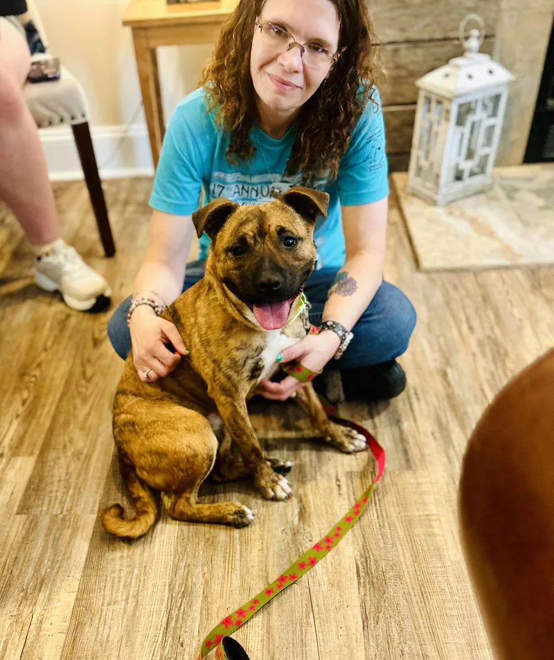 Hermoine thumbnail 2