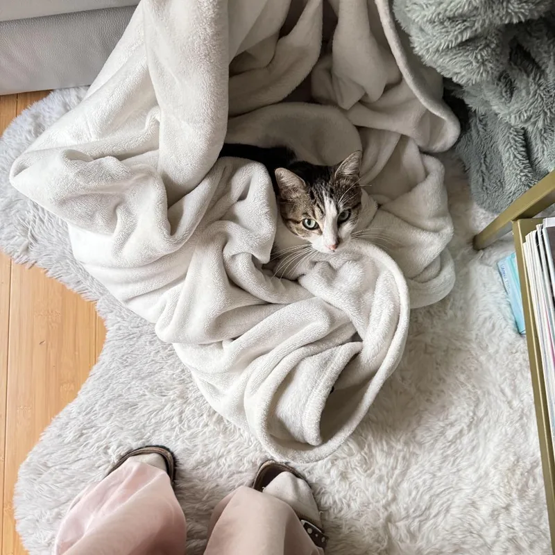 Plaid Aka Bijou thumbnail 3