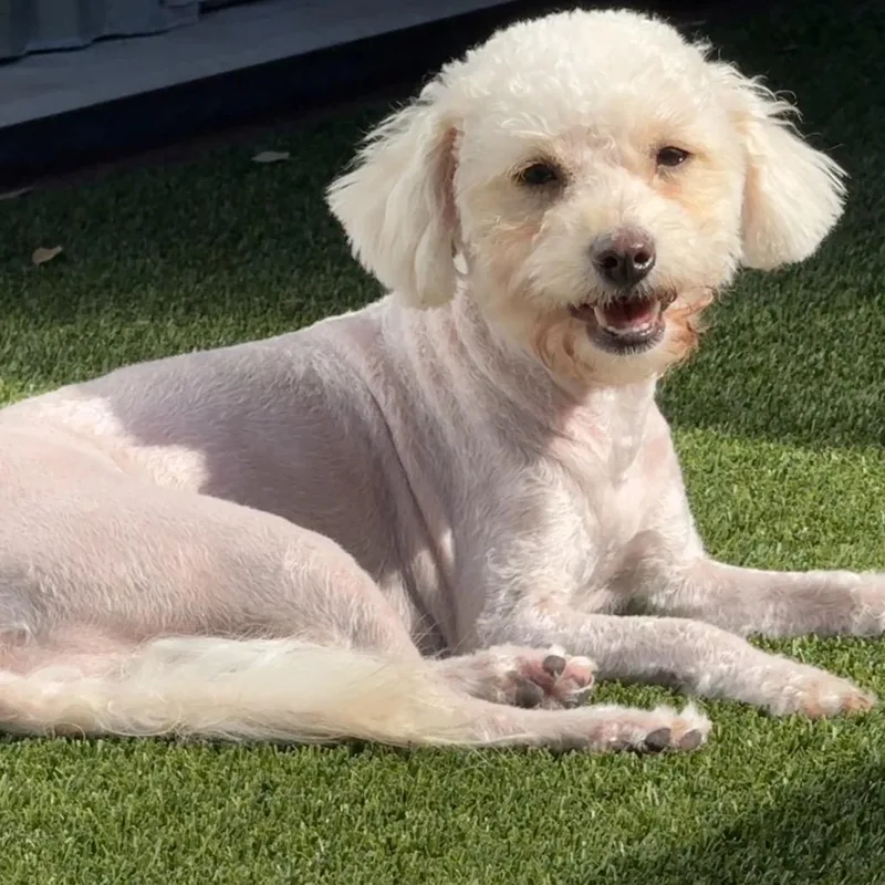 Mindy: Ready For Her thumbnail 2