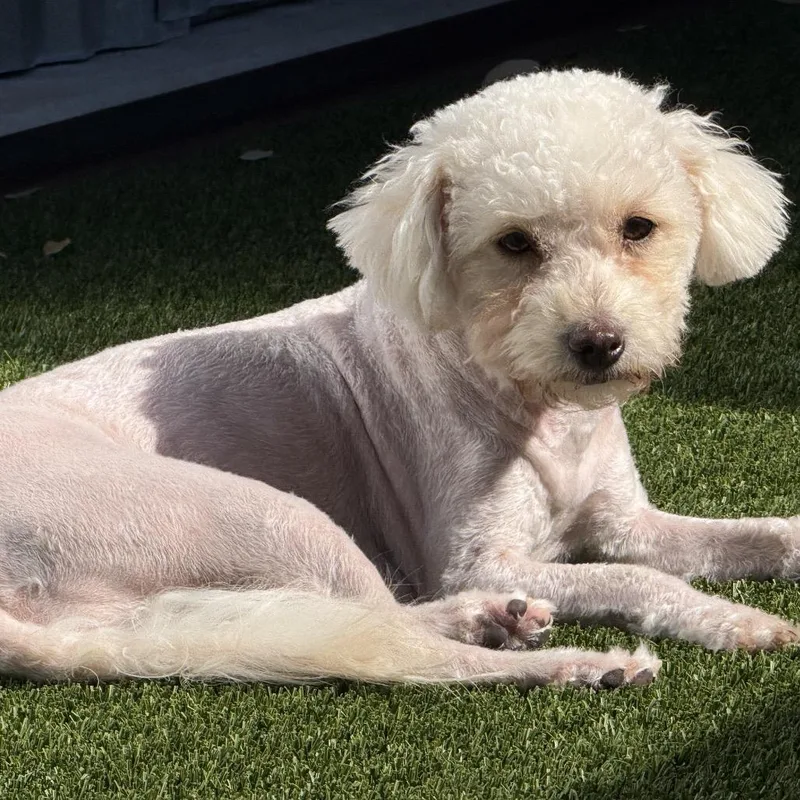 Mindy: Ready For Her thumbnail 4